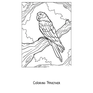 Coloring page of a macaw perched on a branch