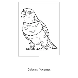 Coloring page of a plump parrot standing in full body