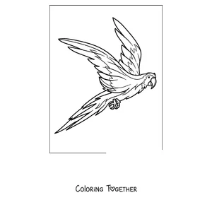 Coloring page of a parrot flying with wings wide open