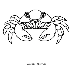 Coloring page of a realistic crab seen from above