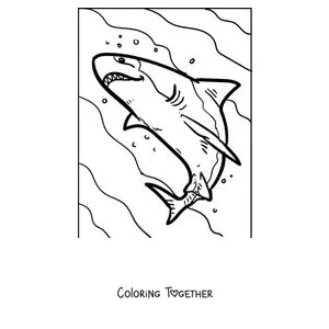 Coloring page of a realistic great white shark swimming up