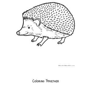 Coloring page of a realistic hedgehog walking in profile
