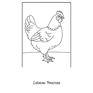 Coloring page of a realistic hen in profile