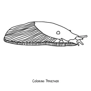 Coloring page of a realistic slug in side view with a striped mantle