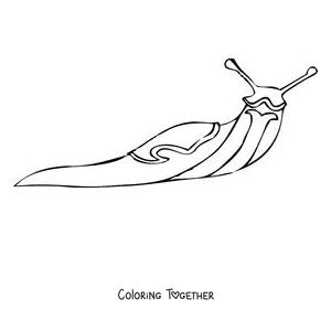Coloring page of a realistic slug with a smooth body