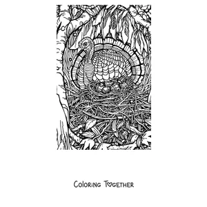 Coloring page of a realistic turkey standing in the grass