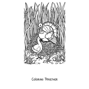 Coloring page of a realistic turkey walking through the grass