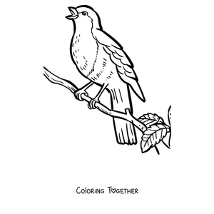 Coloring page of a robin on a branch with a leaf