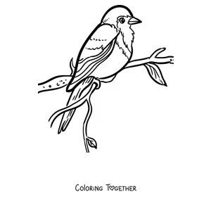 Coloring page of a robin perched on a leafy branch