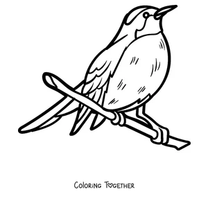 Coloring page of a robin perched on its branch