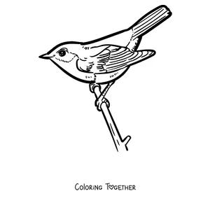 Coloring page of a robin on the tip of a twig