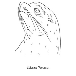 Coloring page of a seal’s face with its whiskers