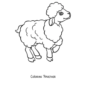 Coloring page of happy sheep walking