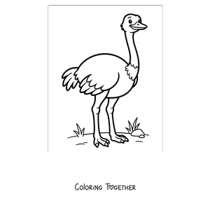 Coloring page of a simple ostrich for little kids