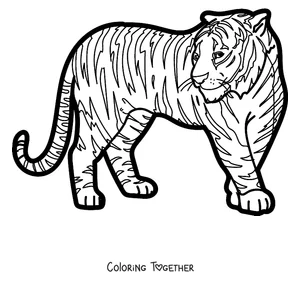 Coloring page of an adult tiger standing in profile