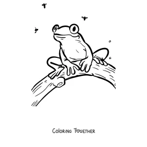 Coloring page of a tree frog on a branch surrounded by insects