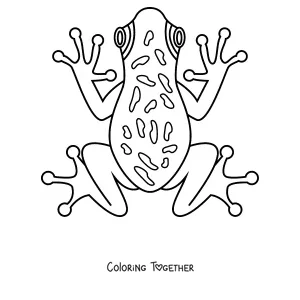 Coloring page of a tree frog seen from above
