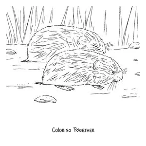 Coloring page of two lemmings among the tundra grass
