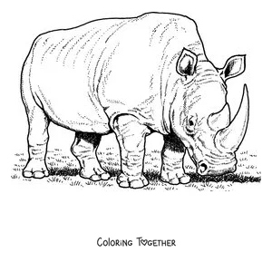 Coloring page of a white rhino eating grass