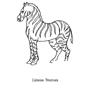 Coloring page of a zebra standing in profile