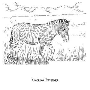 Coloring page of a zebra walking through the tall grass
