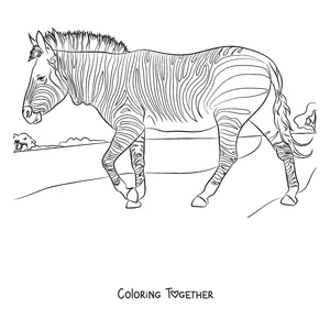 Coloring page of a zebra walking in the sunshine