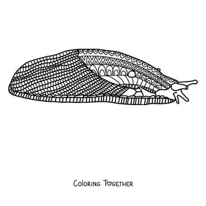 Coloring page of a slug covered in patterns to relax
